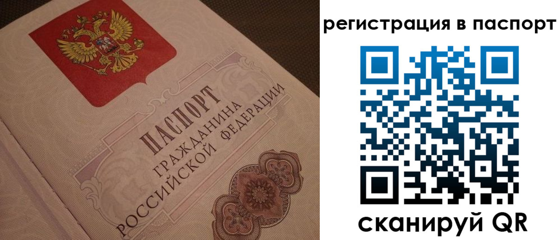 временная регистрация надежно в Тайшете
